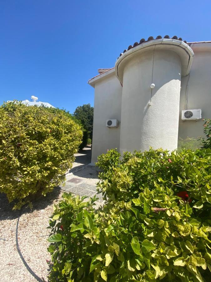 Seaside Maisonette 200M From Sea Paphos Eksteriør billede